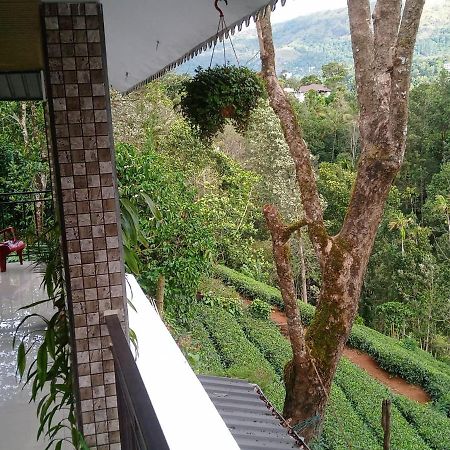 Green Tea View Муннар Экстерьер фото