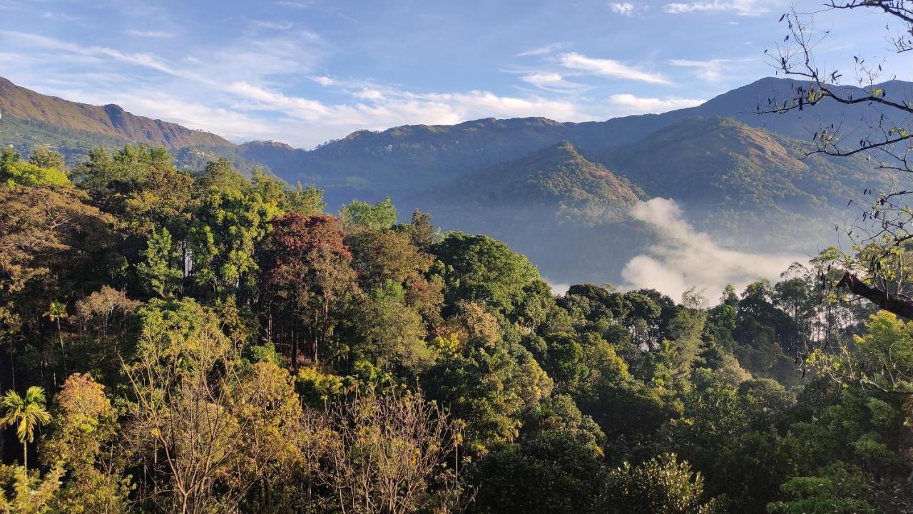 Green Tea View Муннар Экстерьер фото